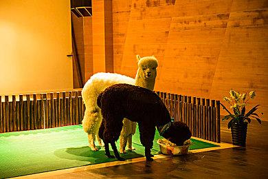 《蒸汽世界：建造》赞誉宣传片公布 突出好评如潮